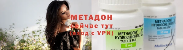 прущие грибы Аркадак
