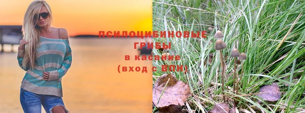 прущие грибы Аркадак