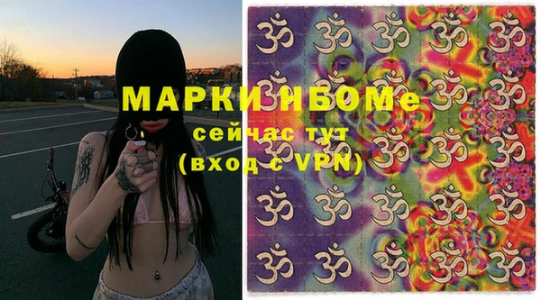 прущие грибы Аркадак