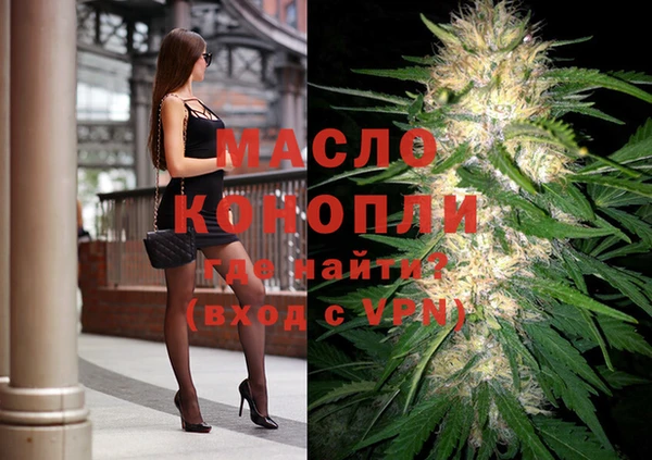 прущие грибы Аркадак