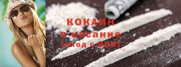 прущие грибы Аркадак